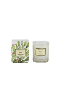 George and Edi Candle Peony - Isabel Harris
