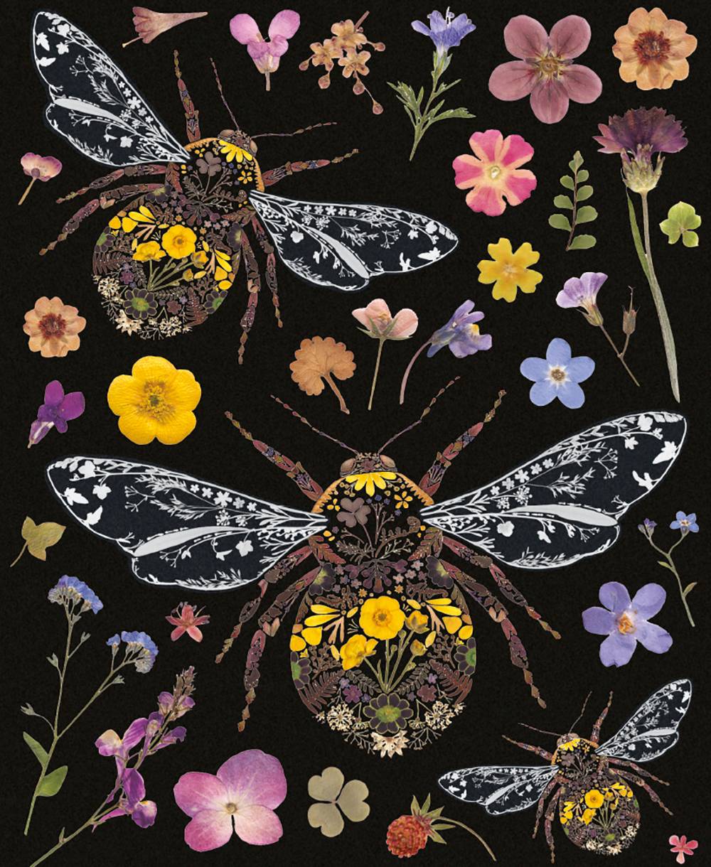 Greeting Card -  Bumblebees against Black - Isabel Harris